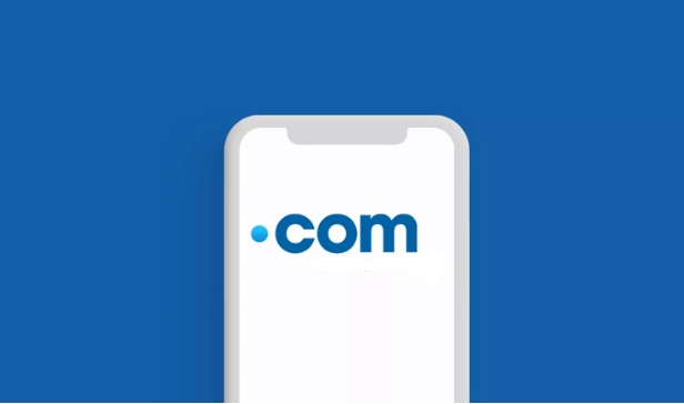 .com域名