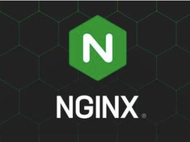 在Nginx服务器上安装证书