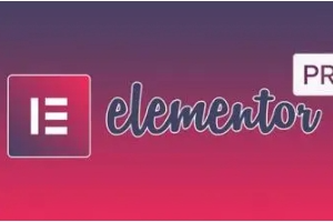 WordPress网站安装和设置Elementor