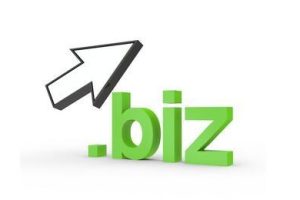 .biz域名