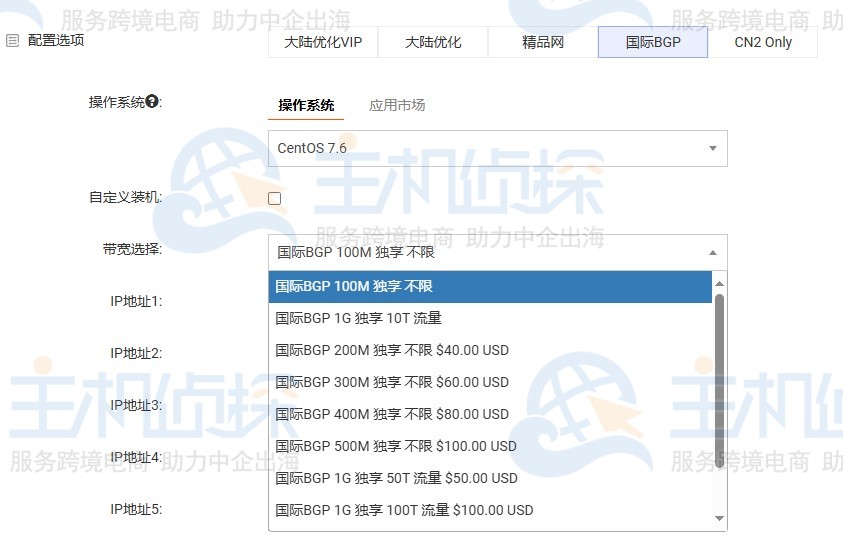 RAKsmart BGP服务器