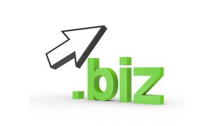 .biz域名