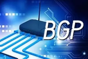 BGP服务器和普通服务器