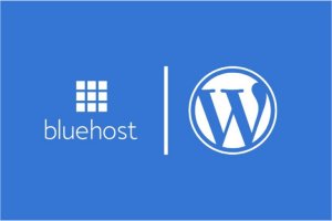 BlueHost WordPress主机