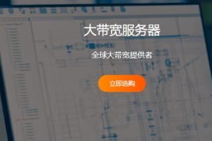 RAKsmart大宽带服务器