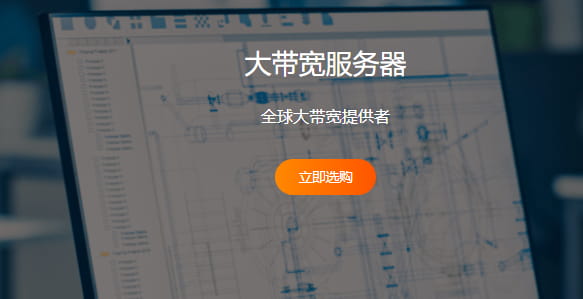 RAKsmart大宽带服务器