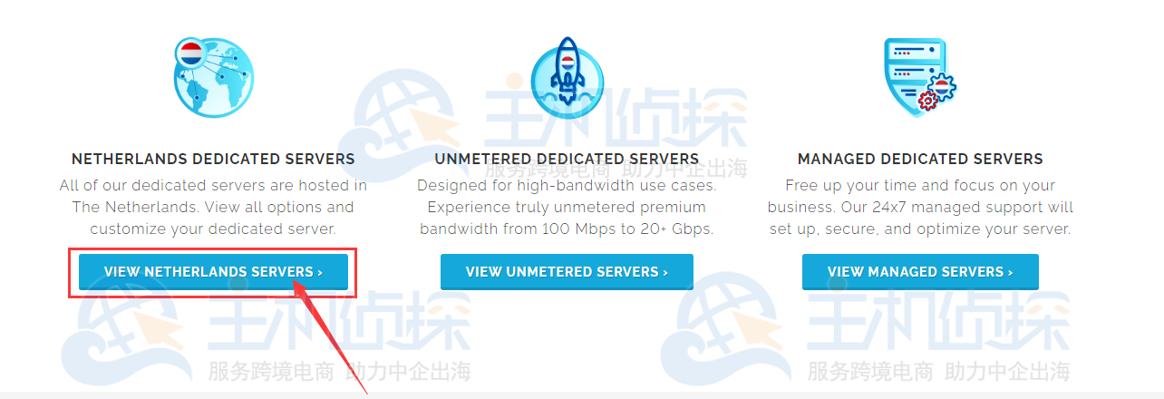 荷兰服务器购买教程