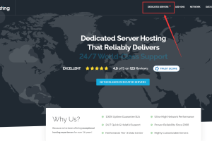 荷兰服务器购买教程