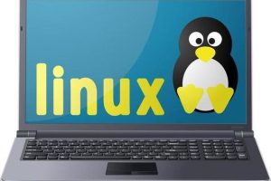 Linux云服务器