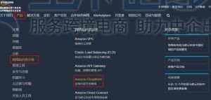 亚马逊云科技CDN加速域名