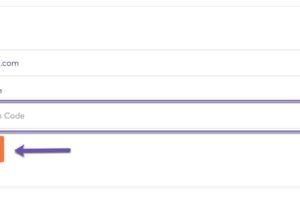 将域名转移到ChemiCloud