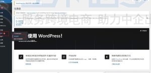 WordPress健康检查和故障排除插件安装与使用教程