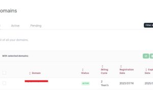 N6 CLoud服务器续订和自动续订域名的步骤