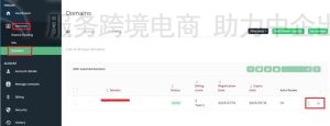 N6 CLoud续订和更改自动续订域名选项