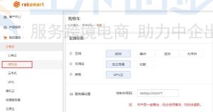 RAKsmart国外GPU云服务器