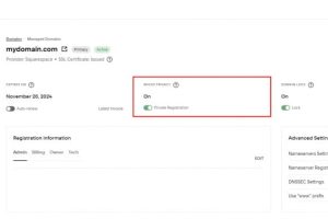 将域名从Squarespace转移到Hostinger