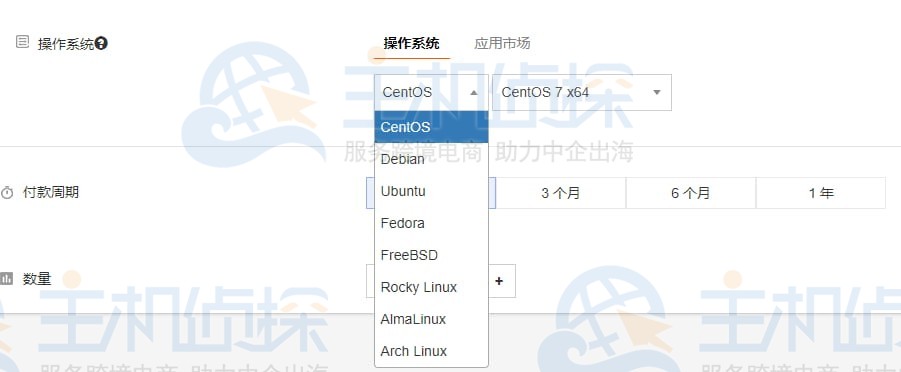RAKsmart国外GPU云服务器