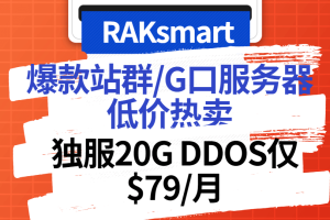 RAKsmart爆款G口不限流量/站群/高防服务器超低价热卖