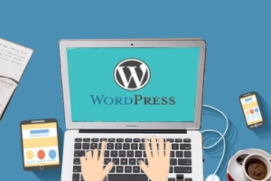 cPanel主机搭建WordPress跨境电商独立站