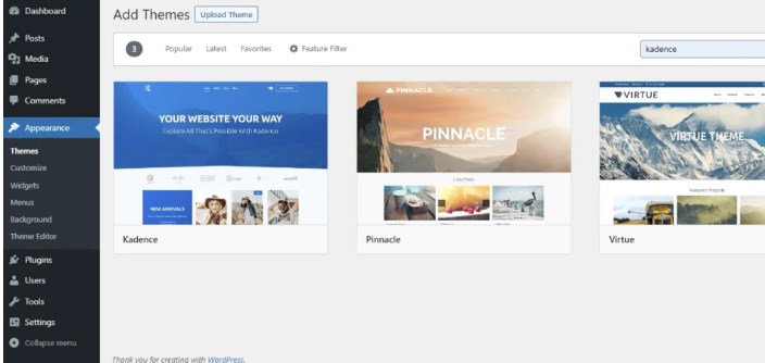 安装WordPress主题和插件