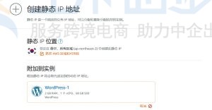 静态IP地址和附加的实例