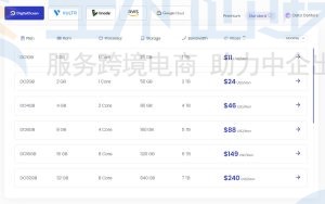 Cloudways WordPress主机托管