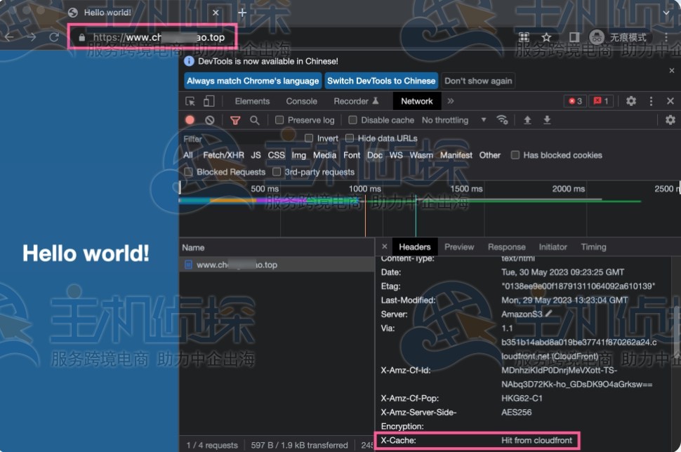等待 DNS 解析生效