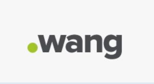 wang域名