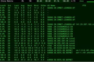 莱卡云香港CN2 GIA VPS去程测试