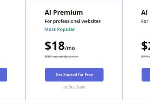 10Web Business年付方案