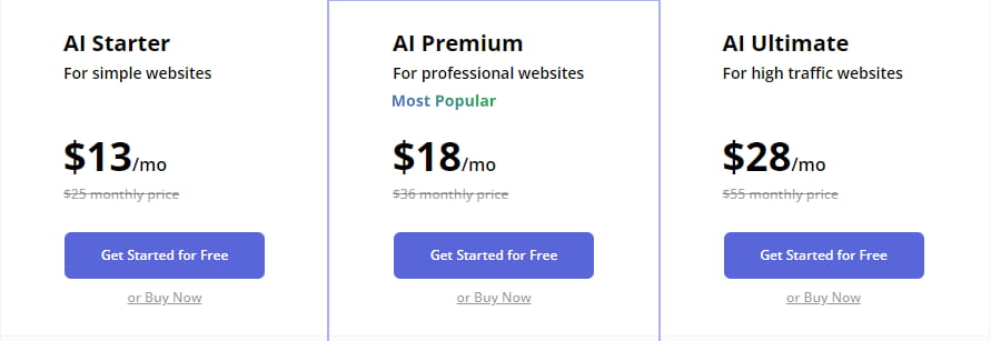 10Web Business年付方案