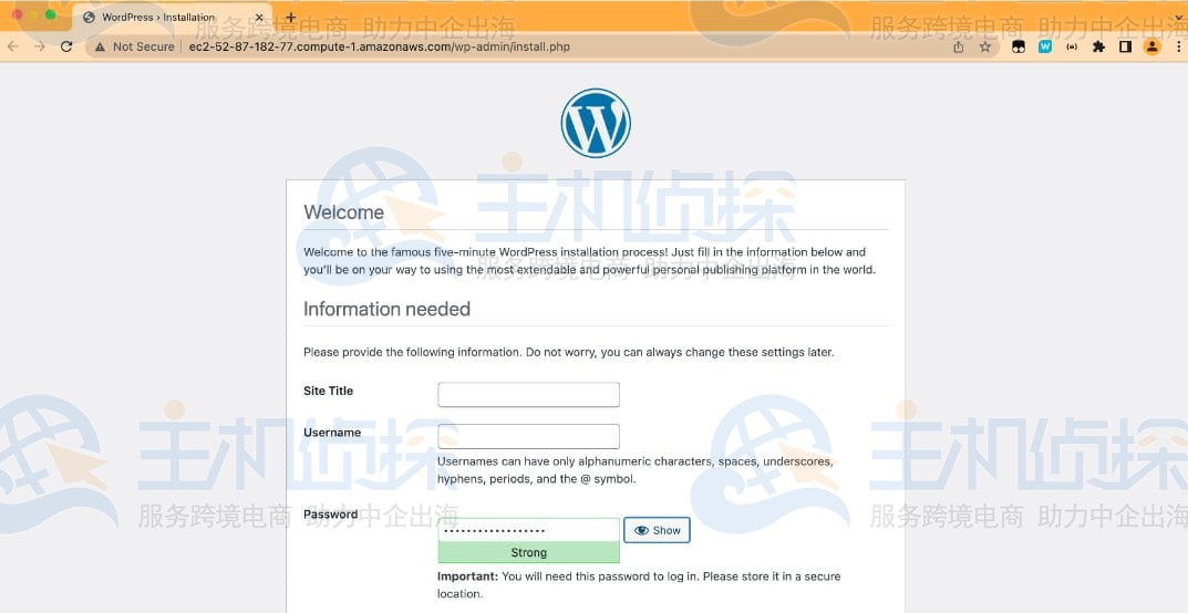 测试网站和清理资源