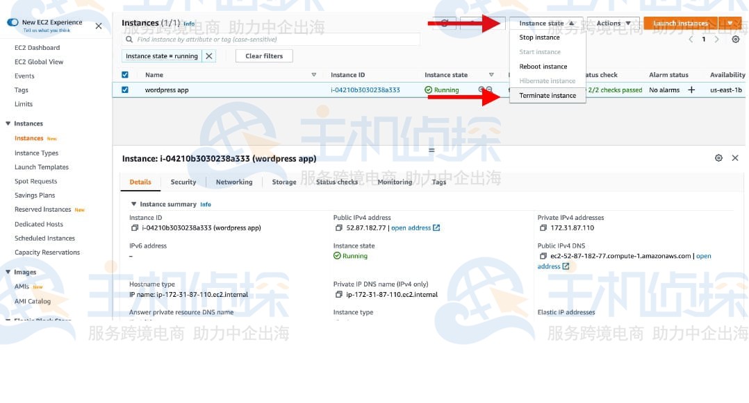 测试网站和清理资源