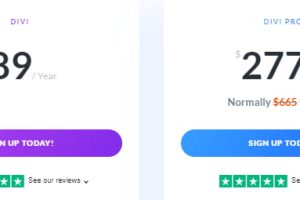 Divi年付套餐方案