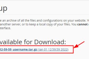 下载文件和数据库备份