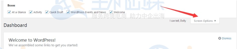 WordPress显示选项