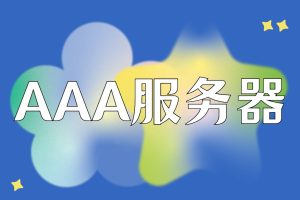 aaa服务器介绍