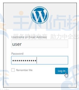 登录你的WordPress网站