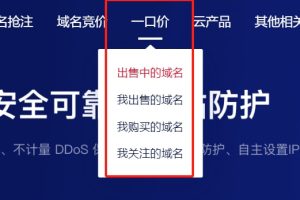 一口价域名