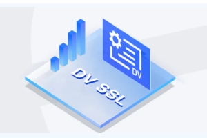 DV SSL证书