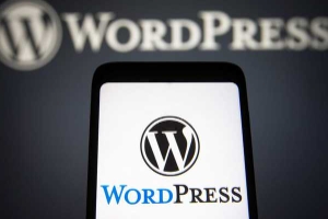 WordPress托管有必要吗 WordPress托管价格