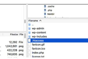 增加文件上传大小限制