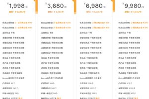 卖家精灵包年版