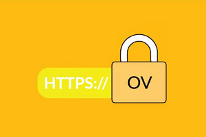 OV SSL证书有什么优势