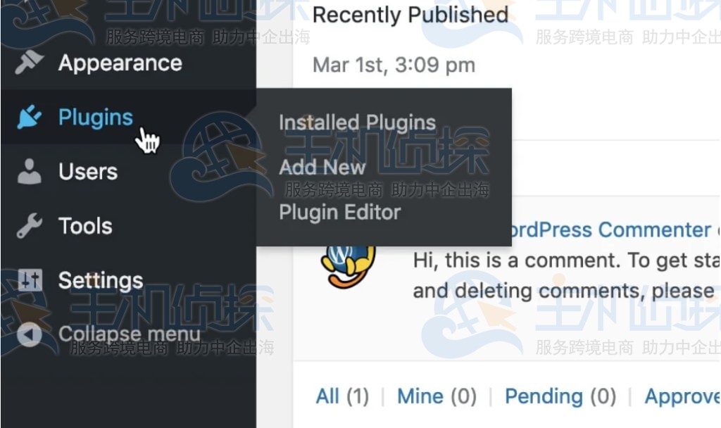 选择“插件”选项