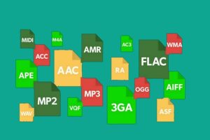 WordPress支持哪些文件类型和格式