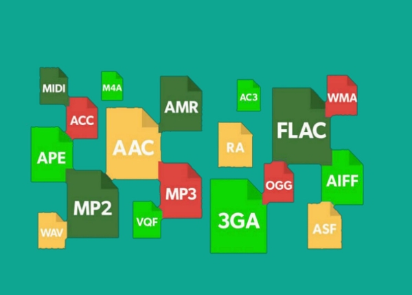 WordPress支持哪些文件类型和格式