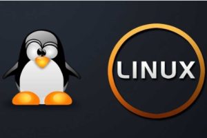 Linux云服务器
