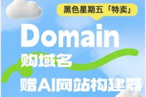 Domain黑五折扣优惠