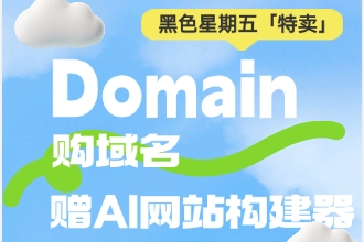 Domain黑五折扣优惠 购域名即赠1个月AI网站构建器